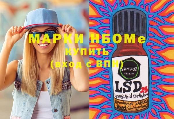 индика Апатиты