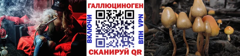 Псилоцибиновые грибы GOLDEN TEACHER  даркнет сайт  Похвистнево 